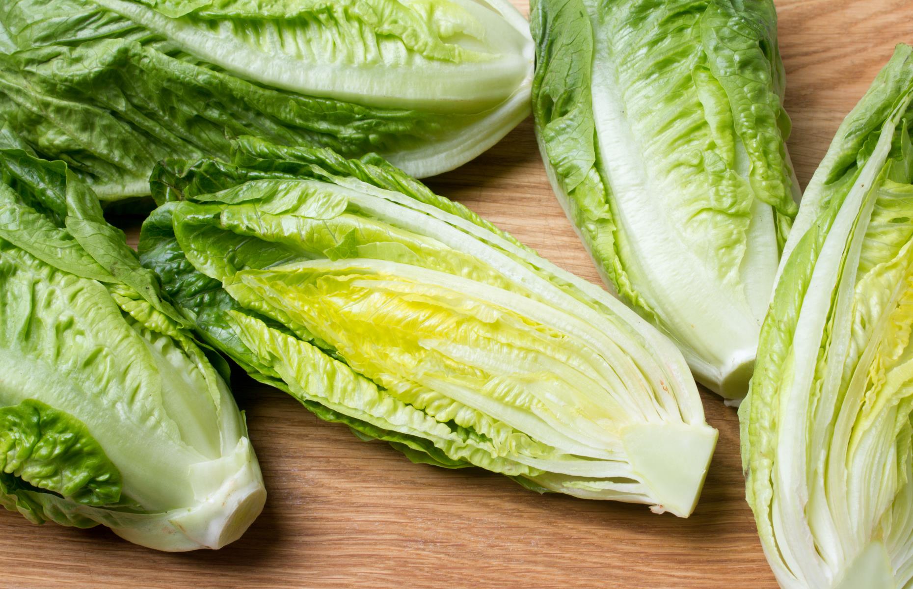 Romaine lettuce 